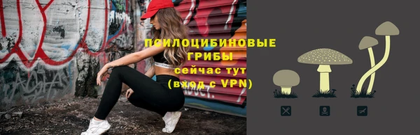 кокаин перу Богданович