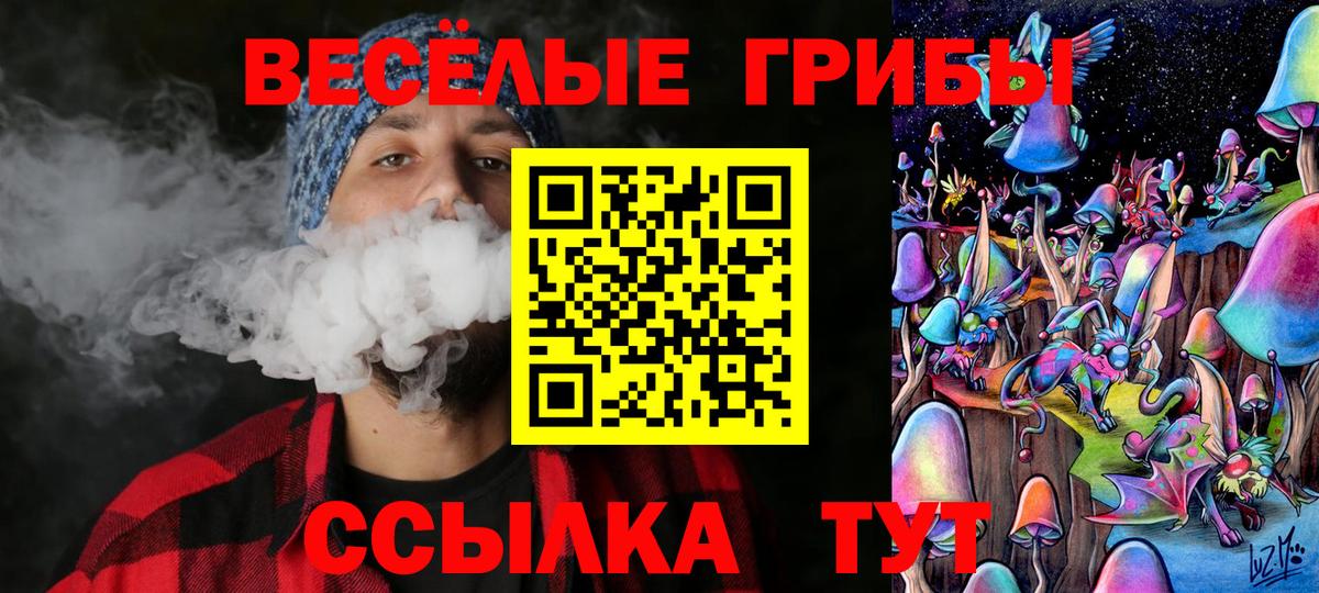Галлюциногенные грибы Cubensis  Вход с VPN  Нерюнгри 