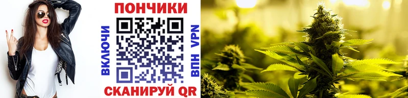 сайты даркнета клад  Нерюнгри  Бошки марихуана SATIVA & INDICA 